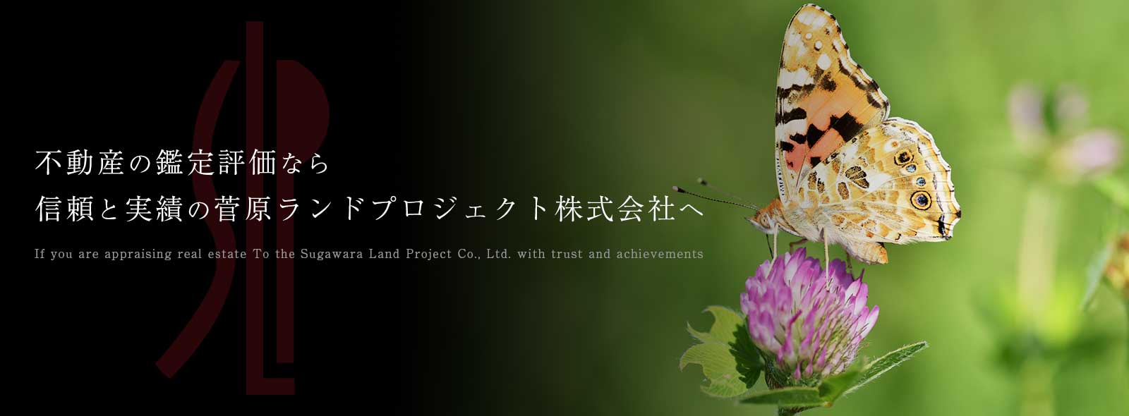 メインビジュアル